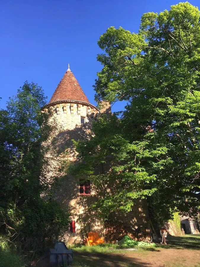 Hébergement de vacances Chateau de Saint Dau Figeac